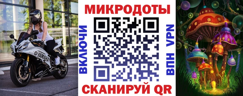 Псилоцибиновые грибы прущие грибы  Карасук 