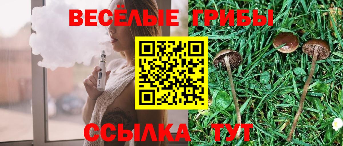 Карасук  Галлюциногенные грибы прущие грибы  Вход с VPN 